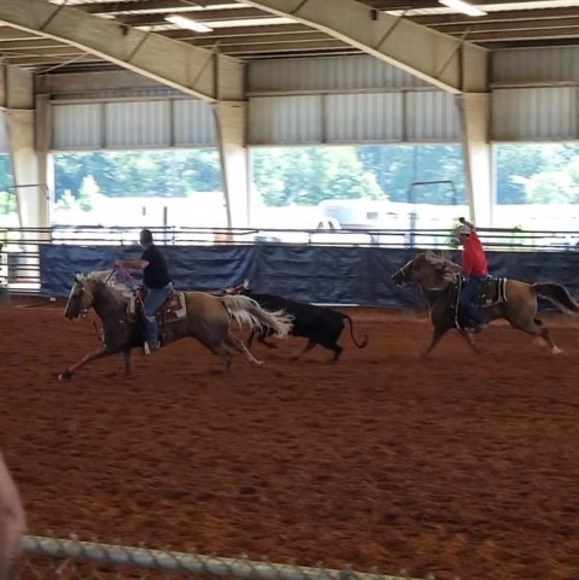 Meet your Posher, John - Picture 1 of 1